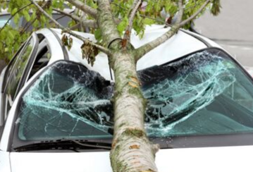 Un arbre est tombé sur ma voiture. Est-ce mon assurance automobile ou mon assurance habitation qui couvre les dommages?
